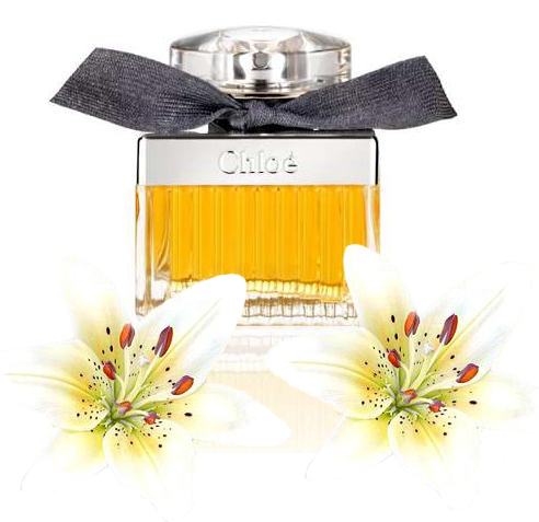 Духи Chloe Eau De Parfum Intense